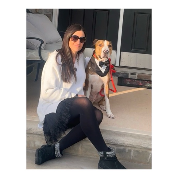 Meet your Posher, Gina Boscaino - Picture 2 of 16